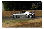 2009 Bugatti Veyron Pur Sang by Unknown