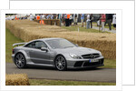 2009 Mercedes Benz SL65 AMG Black by Unknown
