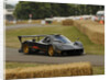 2009 Pagani Zonda R, Goodwood Festival of Speed by Unknown