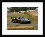 2009 Pagani Zonda R, Goodwood Festival of Speed by Unknown