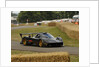 2009 Pagani Zonda R, Goodwood Festival of Speed by Unknown
