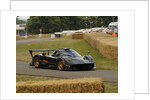 2009 Pagani Zonda R, Goodwood Festival of Speed by Unknown