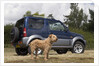 2009 Suzuki Jimny SZ4 with pet dog by Unknown