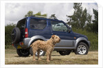 2009 Suzuki Jimny SZ4 with pet dog by Unknown