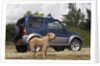 2009 Suzuki Jimny SZ4 with pet dog by Unknown
