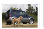 2009 Suzuki Jimny SZ4 with pet dog by Unknown