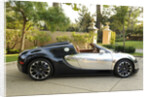 2009 Bugatti Veyron Sang Bleu by Unknown