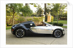 2009 Bugatti Veyron Sang Bleu by Unknown