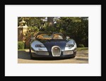 2009 Bugatti Veyron Sang Bleu by Unknown
