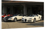 Group of Bugatti Veyron cars by Anonymous