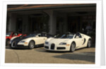 Group of Bugatti Veyron cars by Anonymous