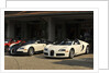 Group of Bugatti Veyron cars by Anonymous