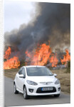2010 Mazda 2 Sport, controlled burning in New Forest by Unknown