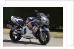 1996 Honda 900 CBR Fireblade by Unknown