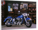 1975 Harley Davidson FLH by Unknown