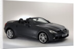 2010 Mercedes Benz SLK 200 by Unknown
