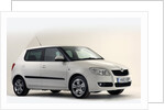 2010 Skoda Fabia HTP by Unknown