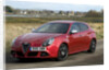 2010 Alfa Romeo Giulietta 1750 Cloverleaf by Unknown