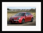2010 Alfa Romeo Giulietta 1750 Cloverleaf by Unknown