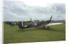 2011 Goodwood Revival Meeting, row of Spitfire Aircraft by Unknown