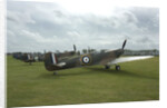 2011 Goodwood Revival Meeting, row of Spitfire Aircraft by Unknown