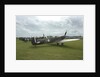 2011 Goodwood Revival Meeting, row of Spitfire Aircraft by Unknown