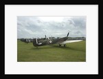 2011 Goodwood Revival Meeting, row of Spitfire Aircraft by Unknown
