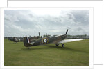 2011 Goodwood Revival Meeting, row of Spitfire Aircraft by Unknown