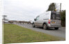 Group of donkeys crossing road and holding up traffic in New Forest 2011 by Unknown