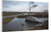 Ford Focus in flooded ditch after losing control on wet road 2012 by Unknown