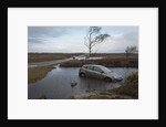 Ford Focus in flooded ditch after losing control on wet road 2012 by Unknown