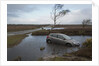 Ford Focus in flooded ditch after losing control on wet road 2012 by Unknown