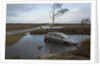 Ford Focus in flooded ditch after losing control on wet road 2012 by Unknown