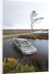 Ford Focus in flooded ditch after losing control on wet road 2012 by Unknown