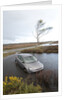 Ford Focus in flooded ditch after losing control on wet road 2012 by Unknown