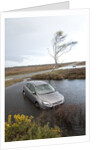 Ford Focus in flooded ditch after losing control on wet road 2012 by Unknown