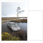 Ford Focus in flooded ditch after losing control on wet road 2012 by Unknown