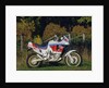 1991 Honda 750 Africa Twin by Unknown