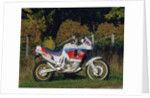1991 Honda 750 Africa Twin by Unknown