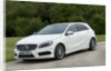 2013 Mercedes Benz A Class 250 AMG by Unknown