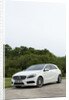 2013 Mercedes Benz A Class 250 AMG by Unknown