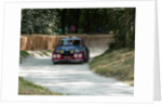 Renault 5 Rally car at Goodwood Festival of Speed 2013 by Unknown