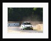Skoda Rally car 2013 Goodwood Festival of speed by Unknown