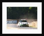 Skoda Rally car 2013 Goodwood Festival of speed by Unknown