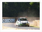Skoda Rally car 2013 Goodwood Festival of speed by Unknown