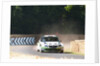 Skoda Rally car 2013 Goodwood Festival of speed by Unknown
