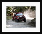 Toyota Hi Lux rally car at Goodwood Festival of Speed 2013 by Unknown