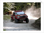 Toyota Hi Lux rally car at Goodwood Festival of Speed 2013 by Unknown