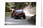 Toyota Hi Lux rally car at Goodwood Festival of Speed 2013 by Unknown
