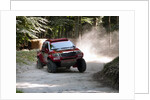 Toyota Hi Lux rally car at Goodwood Festival of Speed 2013 by Unknown